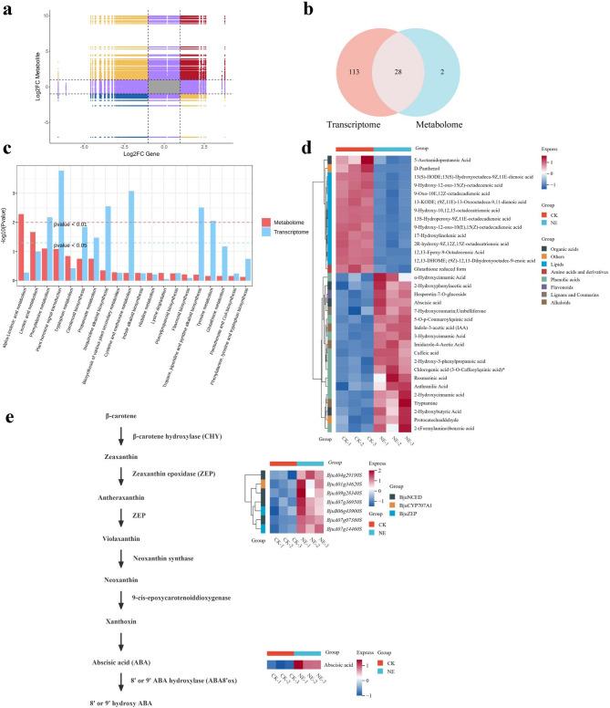 https://cdn.ncbi.nlm.nih.gov/pmc/blobs/e810/12087043/d989efc77fb3/12870_2025_6704_Fig8_HTML.jpg