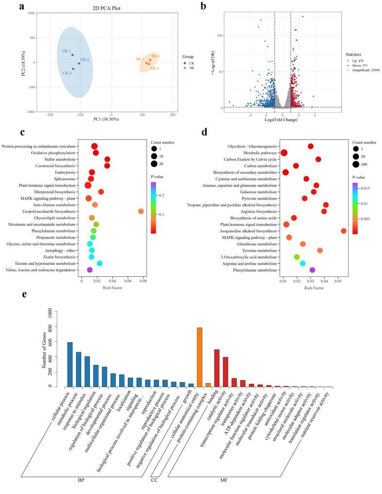 https://cdn.ncbi.nlm.nih.gov/pmc/blobs/e810/12087043/e699fcdca20c/12870_2025_6704_Fig6_HTML.jpg