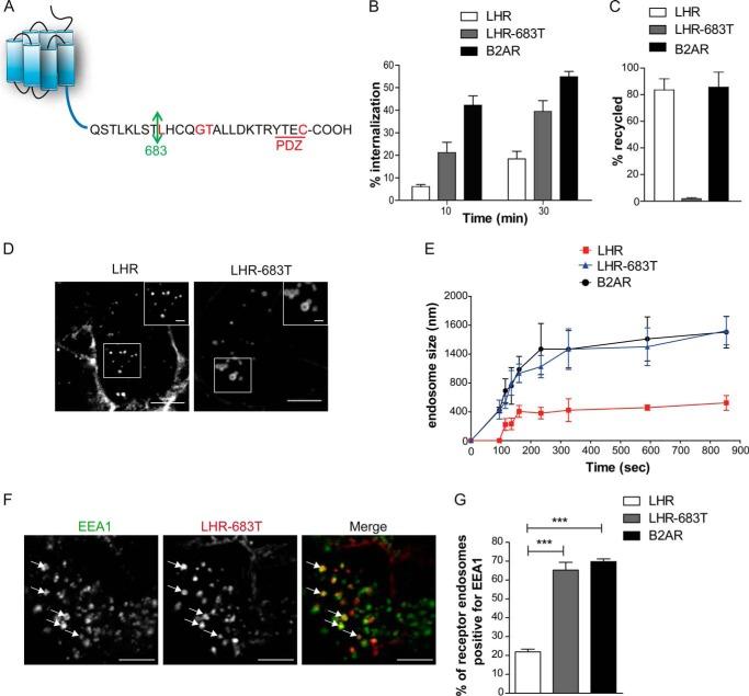 https://cdn.ncbi.nlm.nih.gov/pmc/blobs/e813/3924264/36e6d69ed0cc/zbc0111475910003.jpg