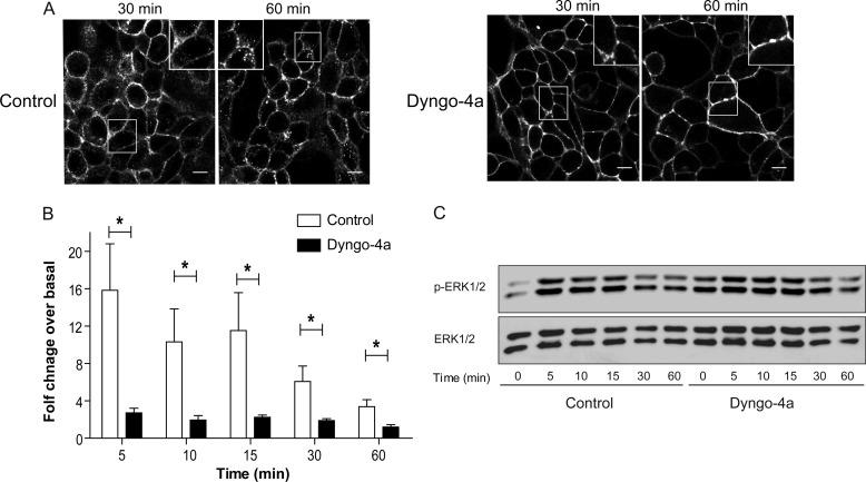 https://cdn.ncbi.nlm.nih.gov/pmc/blobs/e813/3924264/5e559e795fcb/zbc0111475910009.jpg