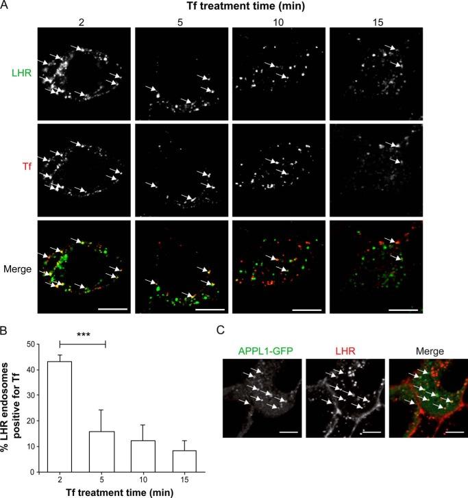 https://cdn.ncbi.nlm.nih.gov/pmc/blobs/e813/3924264/60b60feee57f/zbc0111475910002.jpg