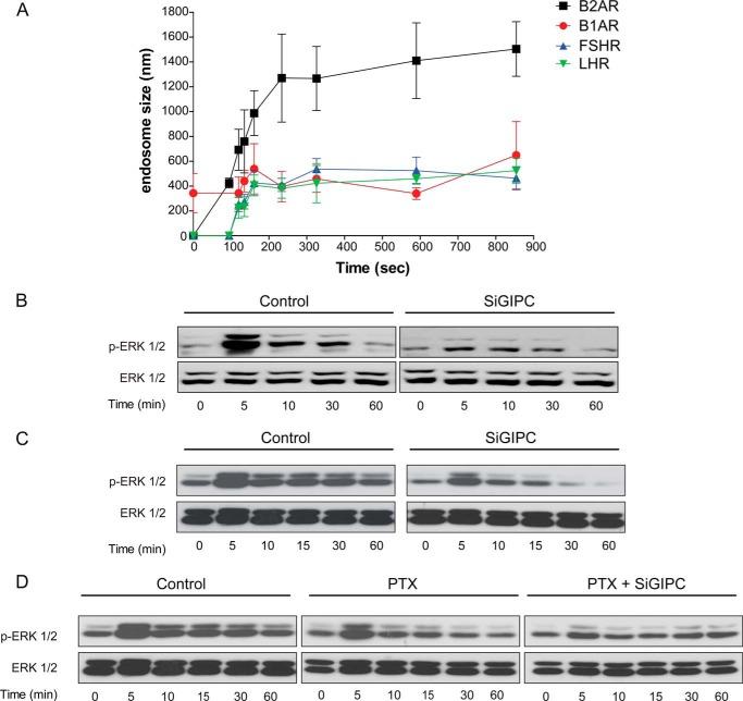 https://cdn.ncbi.nlm.nih.gov/pmc/blobs/e813/3924264/72e1c36ca5da/zbc0111475910010.jpg