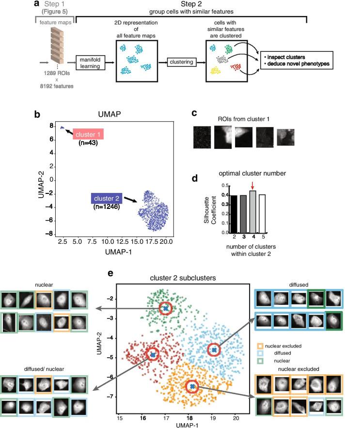 https://cdn.ncbi.nlm.nih.gov/pmc/blobs/e813/8056608/2d86f6e43cb8/12859_2021_4117_Fig6_HTML.jpg