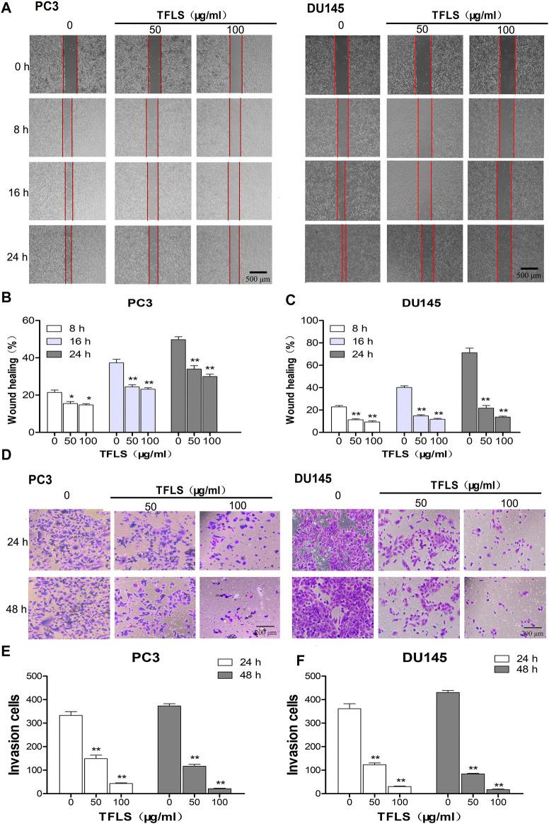 https://cdn.ncbi.nlm.nih.gov/pmc/blobs/e817/8495171/29303a4ff07e/fphar-12-758219-g005.jpg