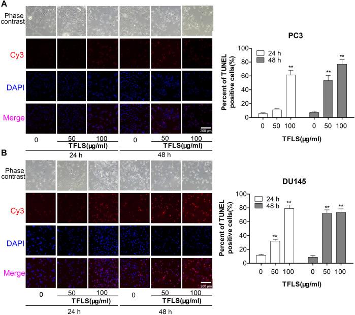 https://cdn.ncbi.nlm.nih.gov/pmc/blobs/e817/8495171/52204143bb8a/fphar-12-758219-g004.jpg