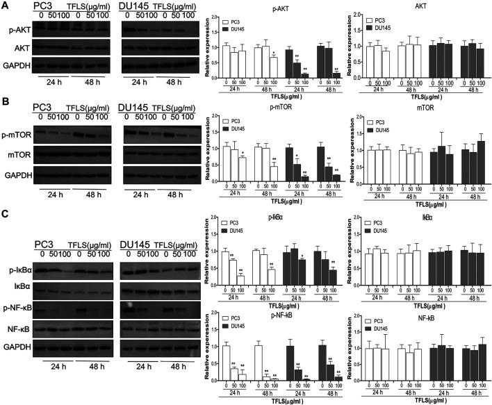 https://cdn.ncbi.nlm.nih.gov/pmc/blobs/e817/8495171/8b4e47802c76/fphar-12-758219-g007.jpg