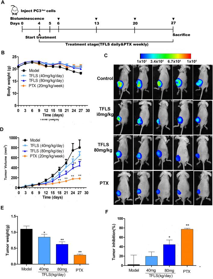https://cdn.ncbi.nlm.nih.gov/pmc/blobs/e817/8495171/9fdffc86ce23/fphar-12-758219-g009.jpg