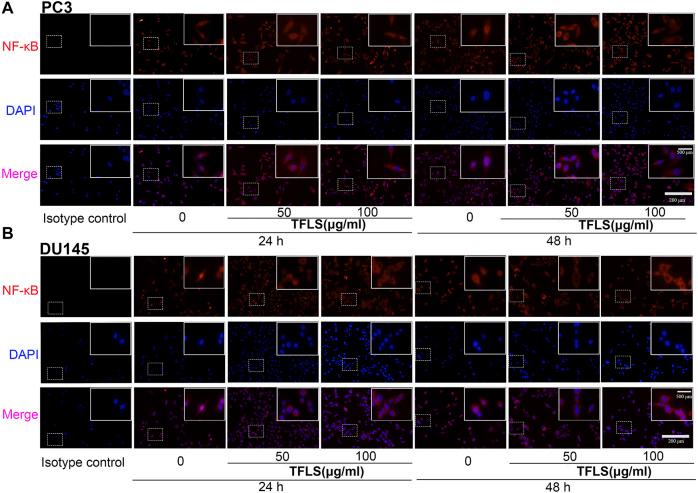https://cdn.ncbi.nlm.nih.gov/pmc/blobs/e817/8495171/f32ef37f828b/fphar-12-758219-g008.jpg