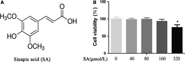 https://cdn.ncbi.nlm.nih.gov/pmc/blobs/e818/6378178/5a5307a86ff4/JCMM-23-1940-g001.jpg