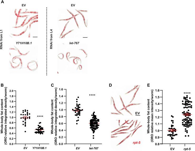 https://cdn.ncbi.nlm.nih.gov/pmc/blobs/e818/8462697/d50751178def/pgen.1009736.g002.jpg