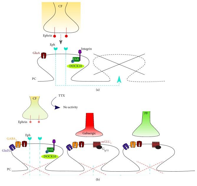 https://cdn.ncbi.nlm.nih.gov/pmc/blobs/e819/5574313/3b691d6e90d3/NP2017-6595740.001.jpg