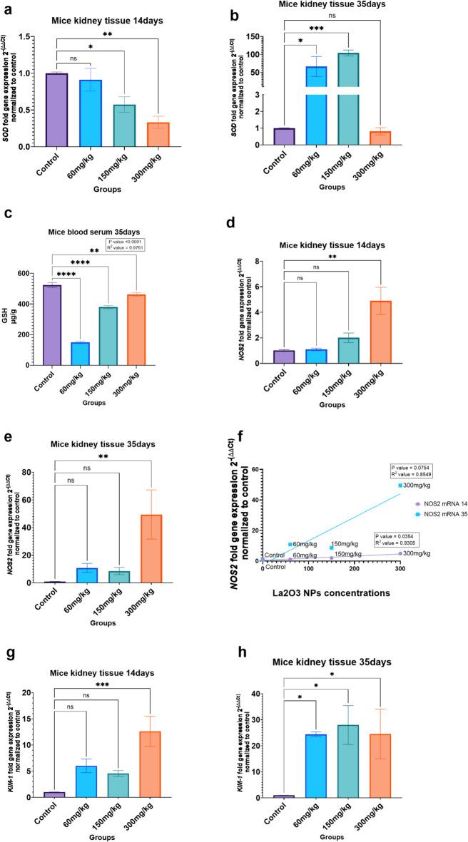 https://cdn.ncbi.nlm.nih.gov/pmc/blobs/e81b/12144138/67510faf9867/41598_2025_4996_Fig3_HTML.jpg