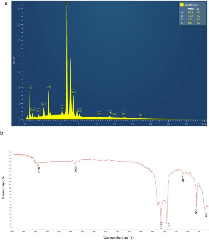 https://cdn.ncbi.nlm.nih.gov/pmc/blobs/e81b/12144138/862cacaccdb4/41598_2025_4996_Fig1_HTML.jpg