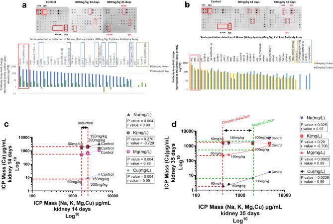 https://cdn.ncbi.nlm.nih.gov/pmc/blobs/e81b/12144138/e1dc4985da03/41598_2025_4996_Fig6_HTML.jpg