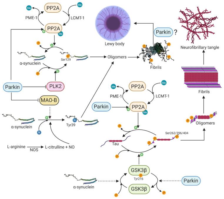 https://cdn.ncbi.nlm.nih.gov/pmc/blobs/e81b/7911026/07859fb0cfaf/cells-10-00283-g003.jpg
