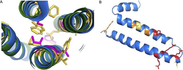 https://cdn.ncbi.nlm.nih.gov/pmc/blobs/e81d/12462614/5e037acabbce/baaf045fig5.jpg
