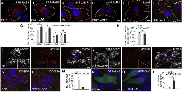 https://cdn.ncbi.nlm.nih.gov/pmc/blobs/e81d/7832235/e2f183f0ab7c/gr5_lrg.jpg
