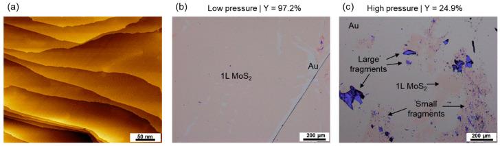 https://cdn.ncbi.nlm.nih.gov/pmc/blobs/e81e/11397389/cb9f3118c690/nanomaterials-14-01418-g003.jpg