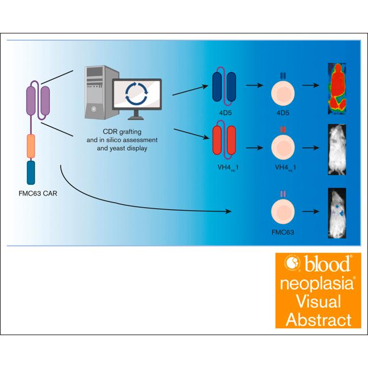 https://cdn.ncbi.nlm.nih.gov/pmc/blobs/e81f/12182840/4d8a4708df0d/BNEO_NEO-2024-000237-ga1.jpg