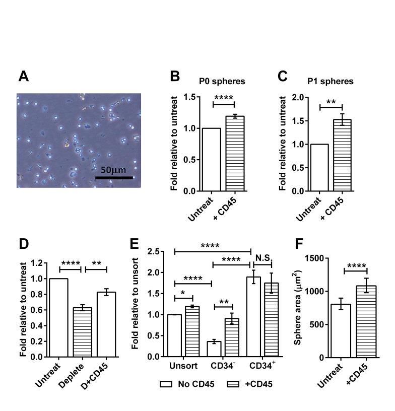 https://cdn.ncbi.nlm.nih.gov/pmc/blobs/e81f/4322977/2066e534f13c/oncotarget-05-12027-g002.jpg