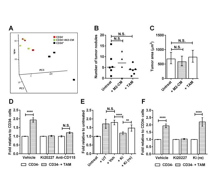 https://cdn.ncbi.nlm.nih.gov/pmc/blobs/e81f/4322977/87be60d7efc9/oncotarget-05-12027-g005.jpg
