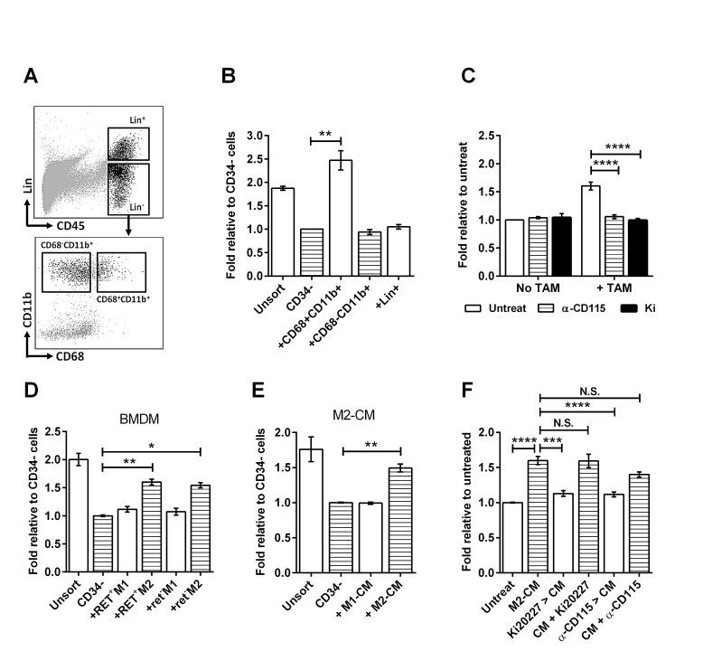 https://cdn.ncbi.nlm.nih.gov/pmc/blobs/e81f/4322977/c41d477010cf/oncotarget-05-12027-g003.jpg