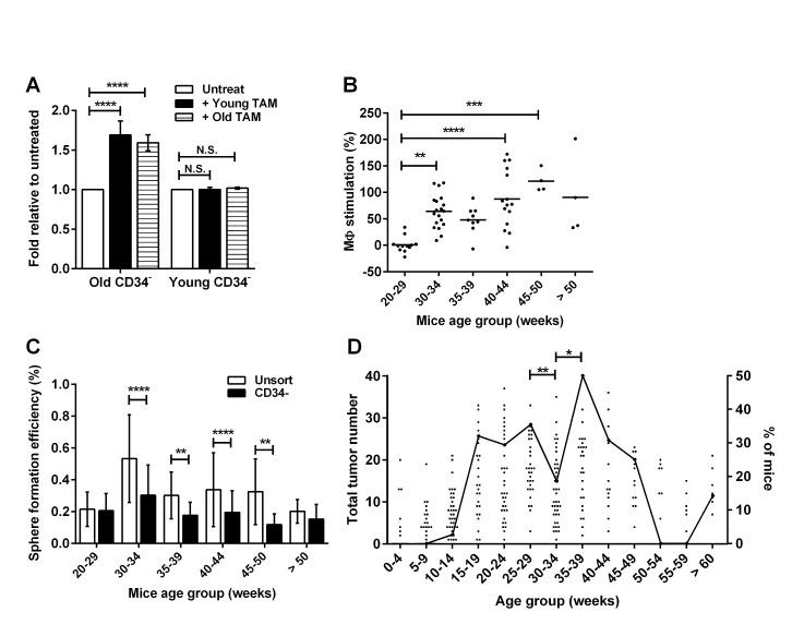 https://cdn.ncbi.nlm.nih.gov/pmc/blobs/e81f/4322977/c89a1b5155e2/oncotarget-05-12027-g004.jpg