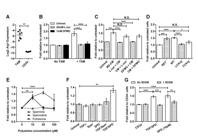 https://cdn.ncbi.nlm.nih.gov/pmc/blobs/e81f/4322977/cf127b910242/oncotarget-05-12027-g008.jpg