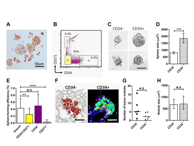 https://cdn.ncbi.nlm.nih.gov/pmc/blobs/e81f/4322977/ea2b7d3becee/oncotarget-05-12027-g001.jpg