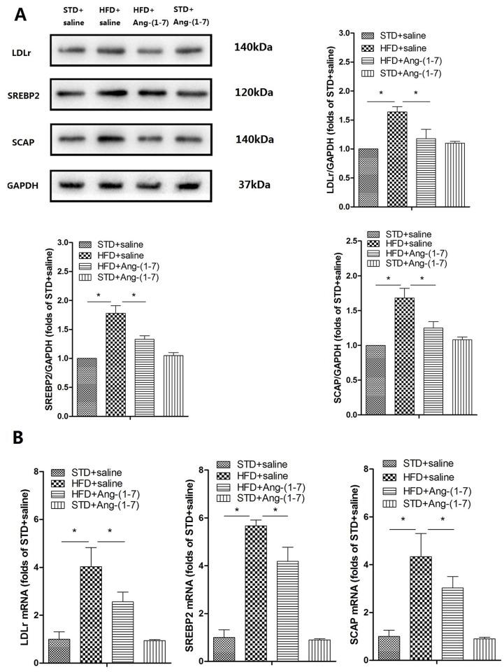 https://cdn.ncbi.nlm.nih.gov/pmc/blobs/e820/4546194/8479cdbe4bd1/pone.0136187.g004.jpg