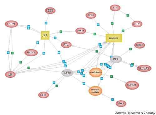 https://cdn.ncbi.nlm.nih.gov/pmc/blobs/e821/400410/ab46dbaf3dbc/ar1018-5.jpg