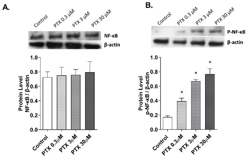 https://cdn.ncbi.nlm.nih.gov/pmc/blobs/e821/8834980/3d070ec2058d/ijms-23-01142-g006.jpg