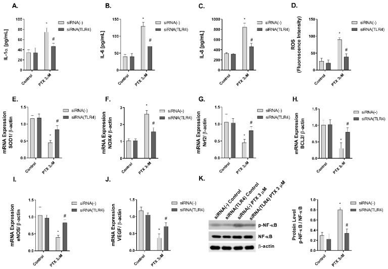 https://cdn.ncbi.nlm.nih.gov/pmc/blobs/e821/8834980/c4f88a04349c/ijms-23-01142-g007.jpg