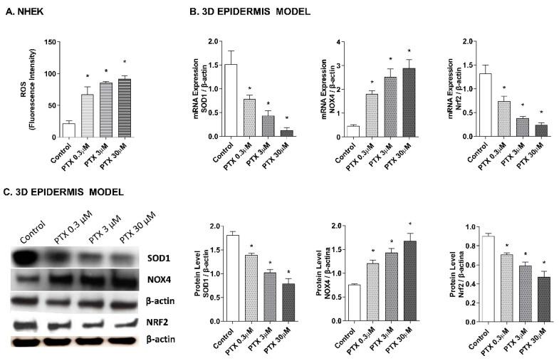 https://cdn.ncbi.nlm.nih.gov/pmc/blobs/e821/8834980/f220636d58f9/ijms-23-01142-g003.jpg