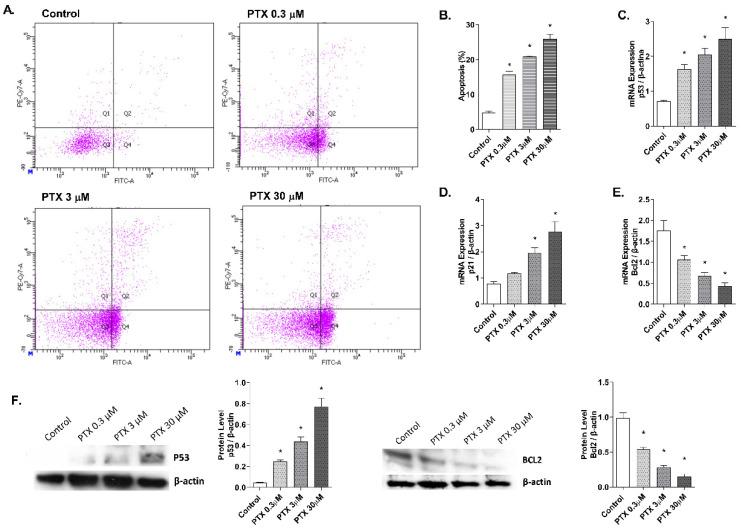 https://cdn.ncbi.nlm.nih.gov/pmc/blobs/e821/8834980/f22660bc1a81/ijms-23-01142-g004.jpg