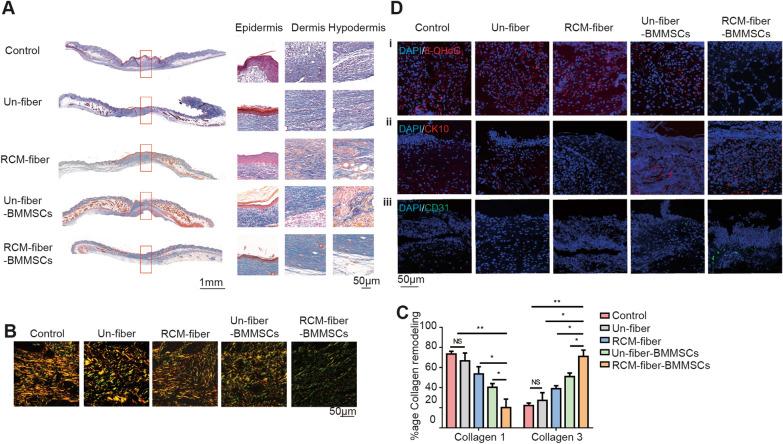 https://cdn.ncbi.nlm.nih.gov/pmc/blobs/e821/9210587/22bfb53f18cc/12951_2022_1503_Fig3_HTML.jpg