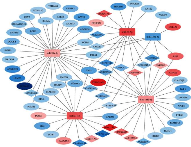 https://cdn.ncbi.nlm.nih.gov/pmc/blobs/e822/7895565/80cf6fa277d3/BMRI2021-4093426.006.jpg