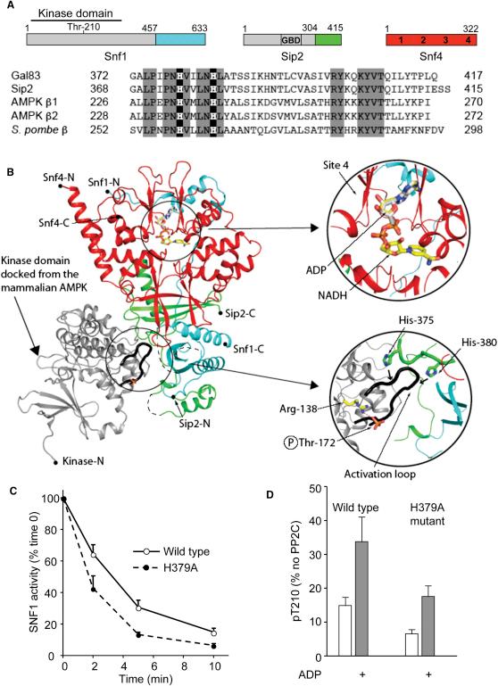 https://cdn.ncbi.nlm.nih.gov/pmc/blobs/e823/3272545/abbba1b7096b/gr3.jpg