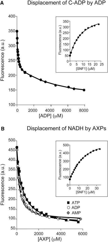 https://cdn.ncbi.nlm.nih.gov/pmc/blobs/e823/3272545/c2e2ea7c24e0/gr2.jpg
