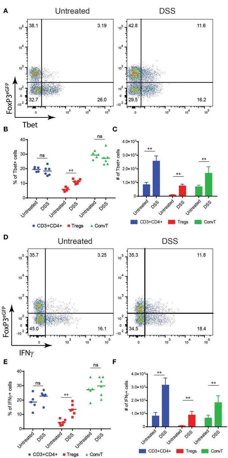 https://cdn.ncbi.nlm.nih.gov/pmc/blobs/e823/6749075/77f1a69a7d09/fimmu-10-02158-g0002.jpg