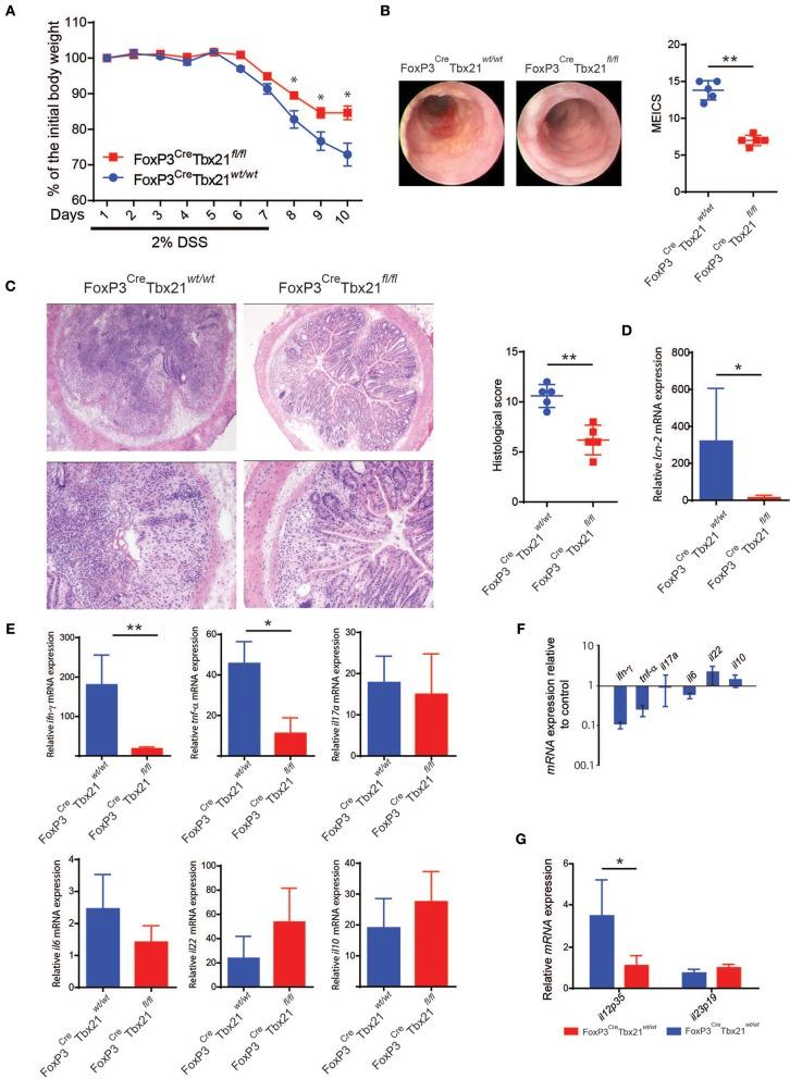 https://cdn.ncbi.nlm.nih.gov/pmc/blobs/e823/6749075/948ef0e58075/fimmu-10-02158-g0006.jpg