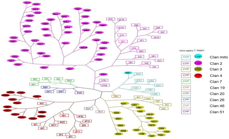 https://cdn.ncbi.nlm.nih.gov/pmc/blobs/e823/8945457/015c4a329e8e/biomolecules-12-00342-g001.jpg