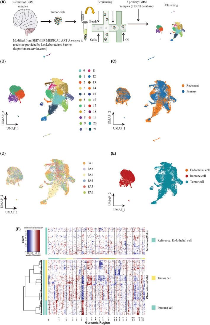 https://cdn.ncbi.nlm.nih.gov/pmc/blobs/e824/10236634/6d0b55c8eebf/CAS-114-2609-g003.jpg