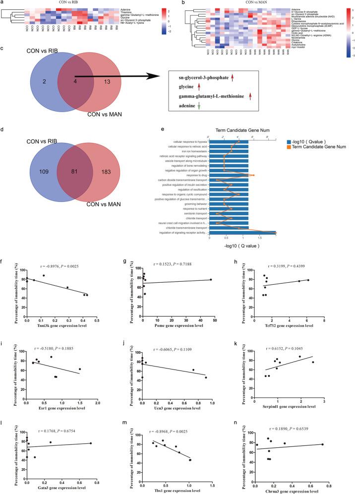 https://cdn.ncbi.nlm.nih.gov/pmc/blobs/e825/7854712/2209852ae964/41398_2020_1126_Fig3_HTML.jpg