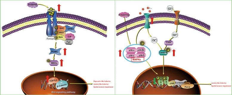 https://cdn.ncbi.nlm.nih.gov/pmc/blobs/e825/7854712/63e12ddf1e0c/41398_2020_1126_Fig5_HTML.jpg