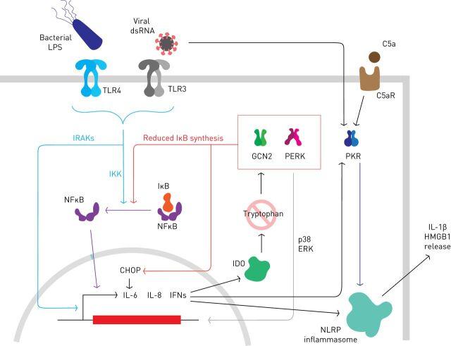 https://cdn.ncbi.nlm.nih.gov/pmc/blobs/e825/9489060/0a0b53aae210/ERR-0184-2020.02.jpg