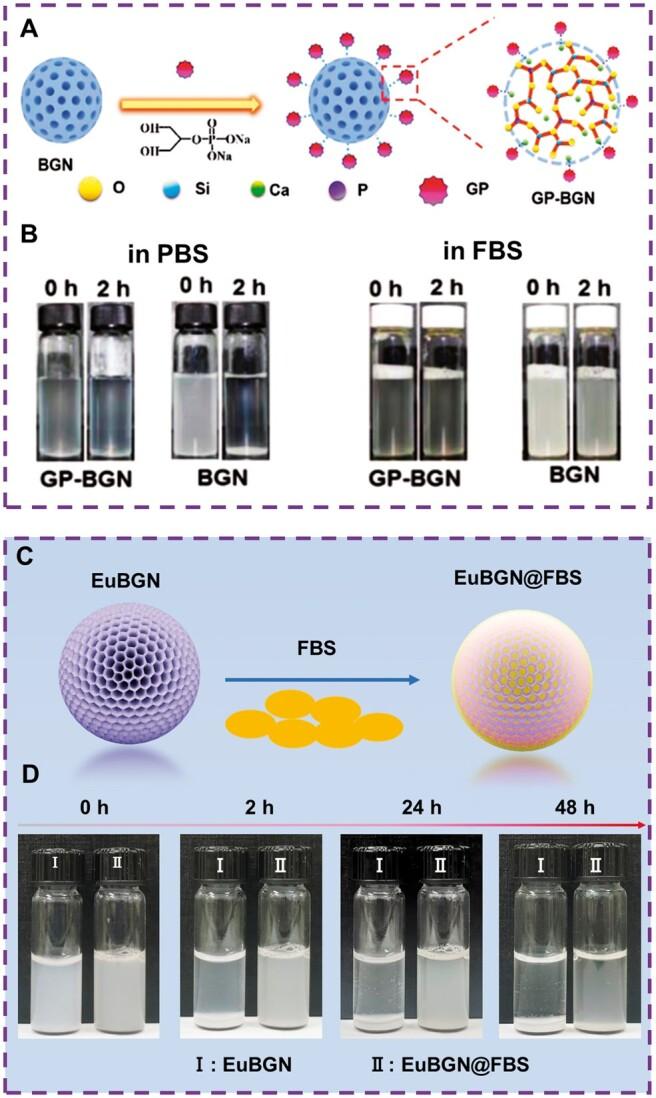 https://cdn.ncbi.nlm.nih.gov/pmc/blobs/e826/11422188/3b877f6e0ae7/rbae110f8.jpg