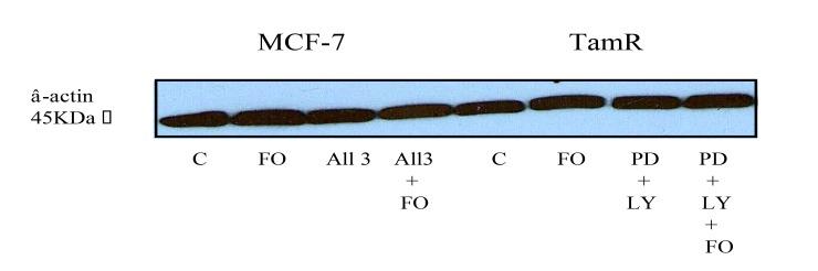 https://cdn.ncbi.nlm.nih.gov/pmc/blobs/e826/6142674/16017e67d0c4/TOBIOCJ-12-130_F8.jpg