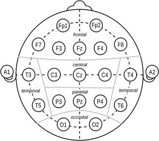 https://cdn.ncbi.nlm.nih.gov/pmc/blobs/e829/6619284/203250140d73/BEM-40-291-g002.jpg