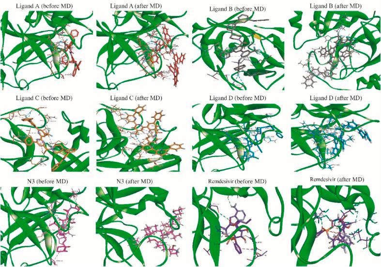 https://cdn.ncbi.nlm.nih.gov/pmc/blobs/e82b/8545757/316048617a34/gr9_lrg.jpg